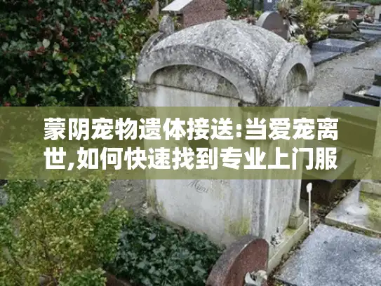 蒙阴宠物遗体接送:当爱宠离世,如何快速找到专业上门服务?
