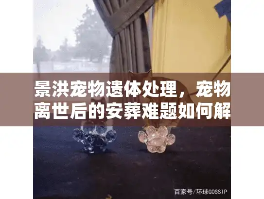 景洪宠物遗体处理，宠物离世后的安葬难题如何解决？