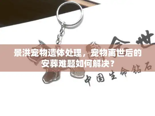 景洪宠物遗体处理，宠物离世后的安葬难题如何解决？
