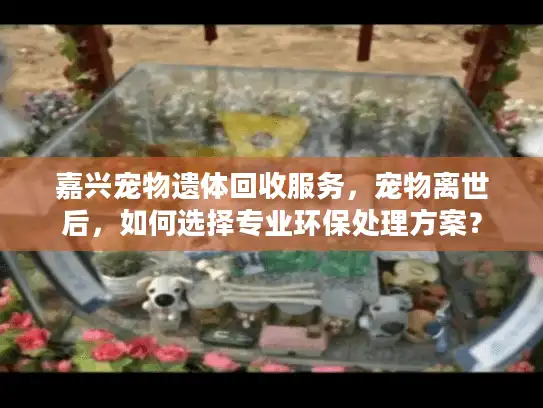 嘉兴宠物遗体回收服务，宠物离世后，如何选择专业环保处理方案？
