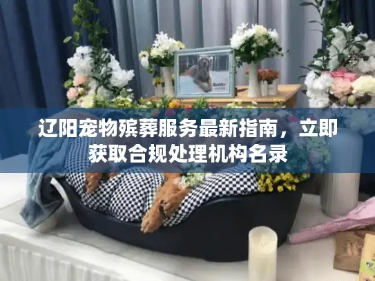 辽阳宠物殡葬服务最新指南，立即获取合规处理机构名录