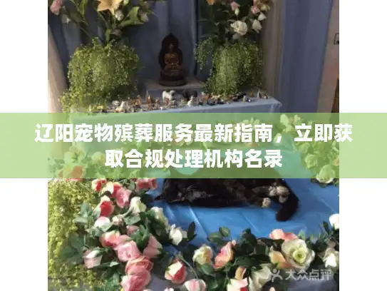 辽阳宠物殡葬服务最新指南，立即获取合规处理机构名录