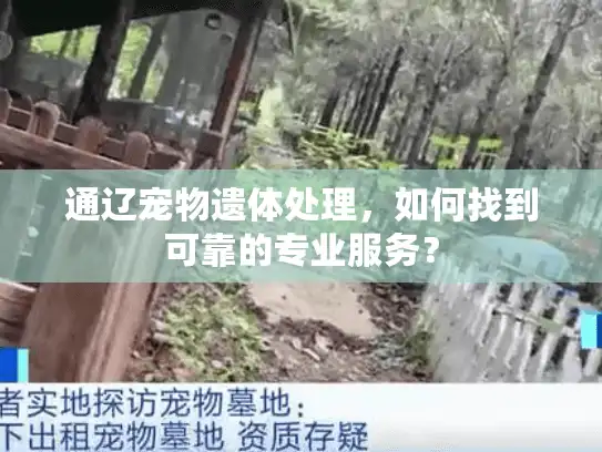 通辽宠物遗体处理，如何找到可靠的专业服务？