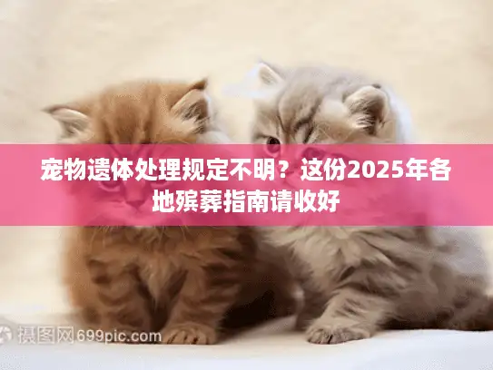 宠物遗体处理规定不明？这份2025年各地殡葬指南请收好