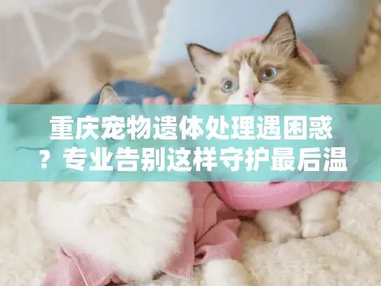 重庆宠物遗体处理遇困惑？专业告别这样守护最后温情