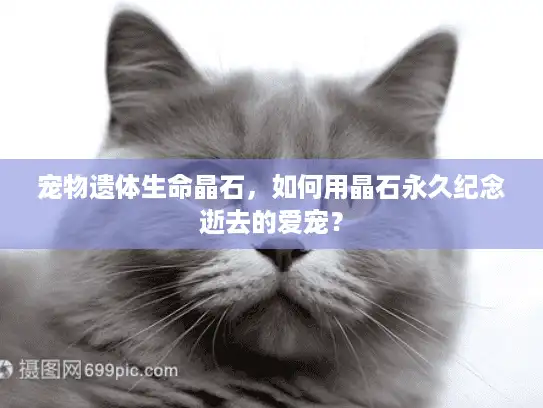 宠物遗体生命晶石，如何用晶石永久纪念逝去的爱宠？