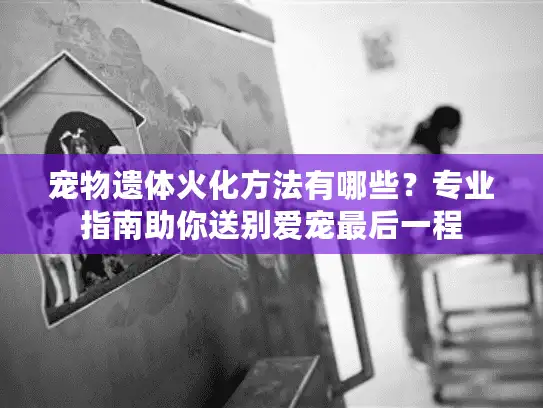 宠物遗体火化方法有哪些？专业指南助你送别爱宠最后一程