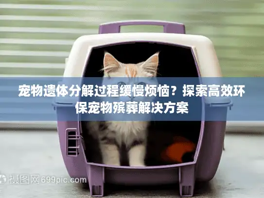 宠物遗体分解过程缓慢烦恼？探索高效环保宠物殡葬解决方案