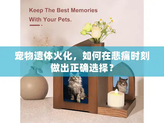 宠物遗体火化，如何在悲痛时刻做出正确选择？