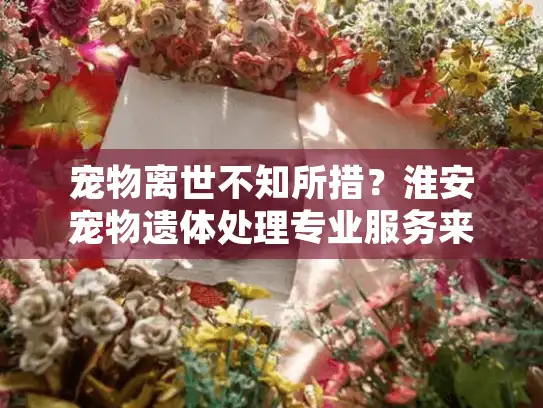 宠物离世不知所措？淮安宠物遗体处理专业服务来解答