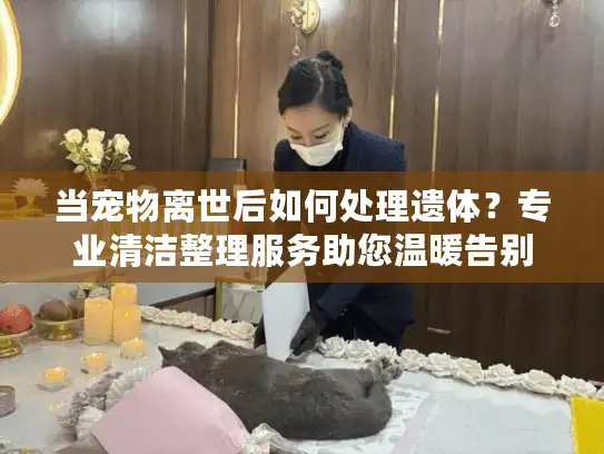当宠物离世后如何处理遗体？专业清洁整理服务助您温暖告别