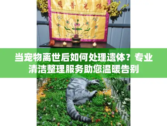 当宠物离世后如何处理遗体？专业清洁整理服务助您温暖告别