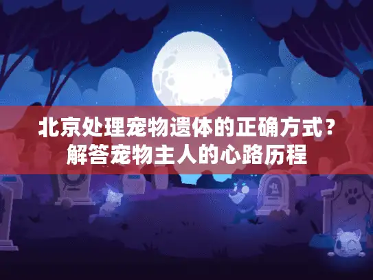 北京处理宠物遗体的正确方式？解答宠物主人的心路历程