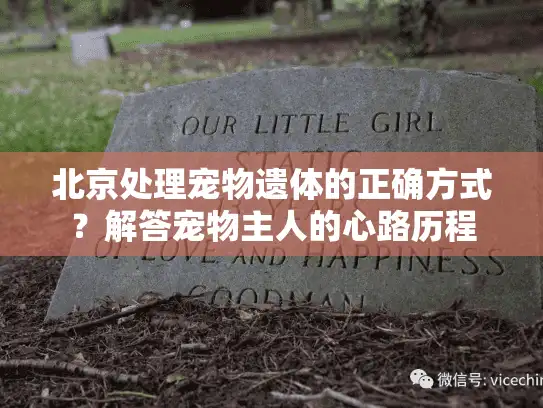 北京处理宠物遗体的正确方式？解答宠物主人的心路历程
