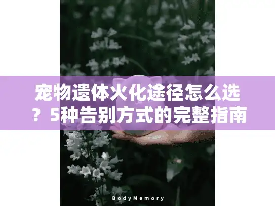 宠物遗体火化途径怎么选？5种告别方式的完整指南