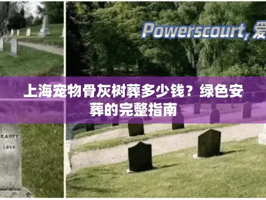 上海宠物骨灰树葬多少钱？绿色安葬的完整指南