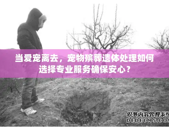 当爱宠离去，宠物殡葬遗体处理如何选择专业服务确保安心？