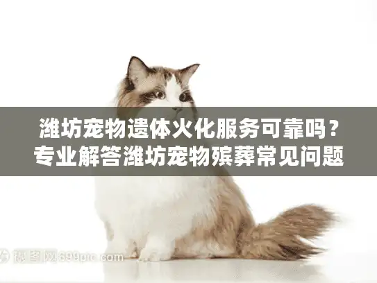 潍坊宠物遗体火化服务可靠吗？专业解答潍坊宠物殡葬常见问题