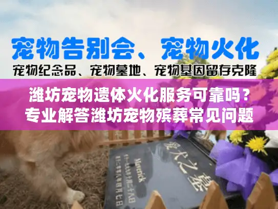 潍坊宠物遗体火化服务可靠吗？专业解答潍坊宠物殡葬常见问题