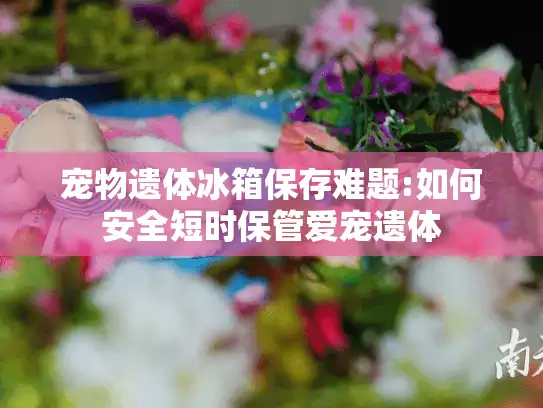 宠物遗体冰箱保存难题:如何安全短时保管爱宠遗体