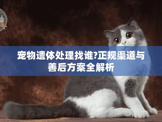 宠物遗体处理找谁?正规渠道与善后方案全解析