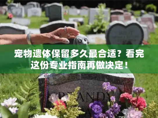 宠物遗体保留多久最合适？看完这份专业指南再做决定！