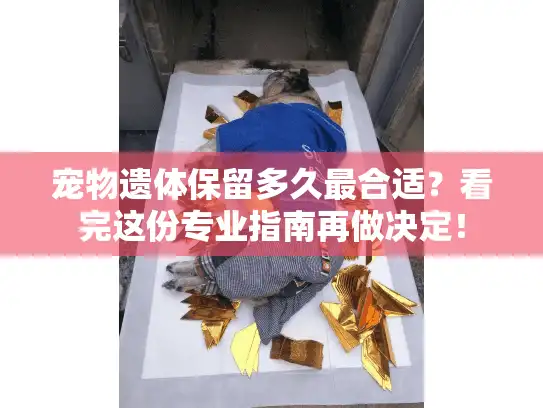 宠物遗体保留多久最合适？看完这份专业指南再做决定！