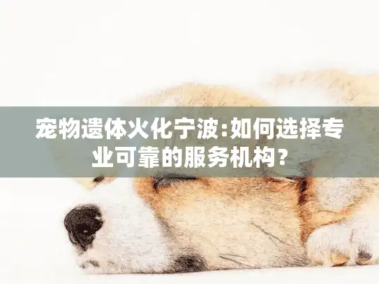 宠物遗体火化宁波:如何选择专业可靠的服务机构？