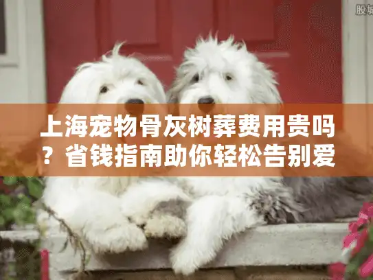 上海宠物骨灰树葬费用贵吗？省钱指南助你轻松告别爱宠