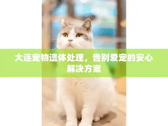大连宠物遗体处理，告别爱宠的安心解决方案
