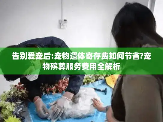 告别爱宠后:宠物遗体寄存费如何节省?宠物殡葬服务费用全解析