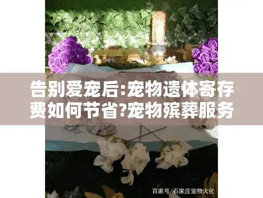 告别爱宠后:宠物遗体寄存费如何节省?宠物殡葬服务费用全解析