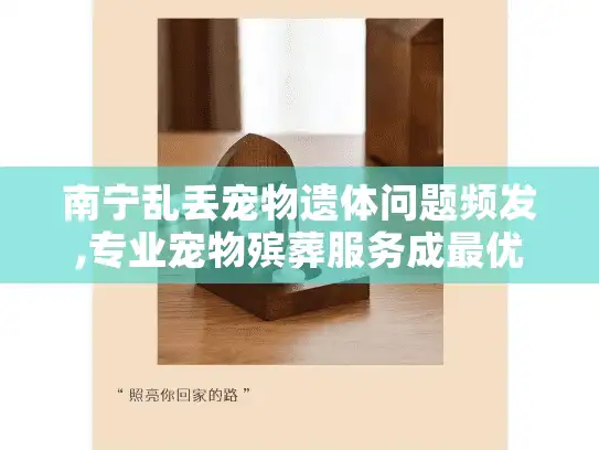南宁乱丢宠物遗体问题频发,专业宠物殡葬服务成最优解