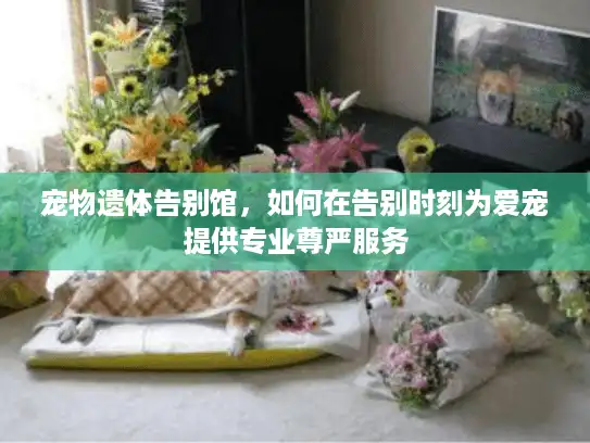 宠物遗体告别馆，如何在告别时刻为爱宠提供专业尊严服务