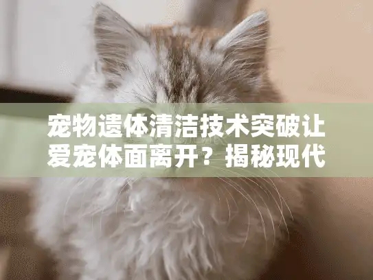 宠物遗体清洁技术突破让爱宠体面离开？揭秘现代宠物殡葬新服务