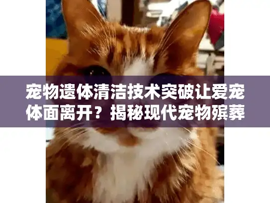 宠物遗体清洁技术突破让爱宠体面离开？揭秘现代宠物殡葬新服务