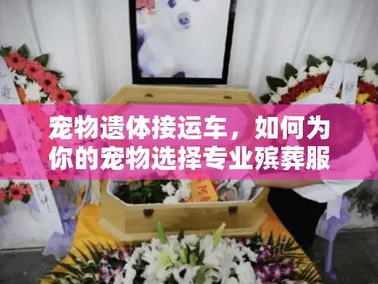 宠物遗体接运车，如何为你的宠物选择专业殡葬服务？
