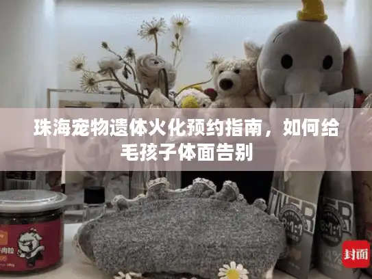 珠海宠物遗体火化预约指南，如何给毛孩子体面告别