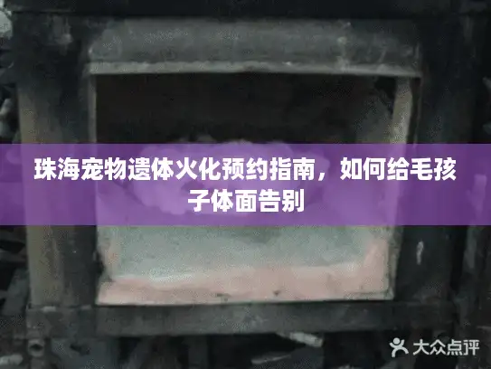 珠海宠物遗体火化预约指南，如何给毛孩子体面告别