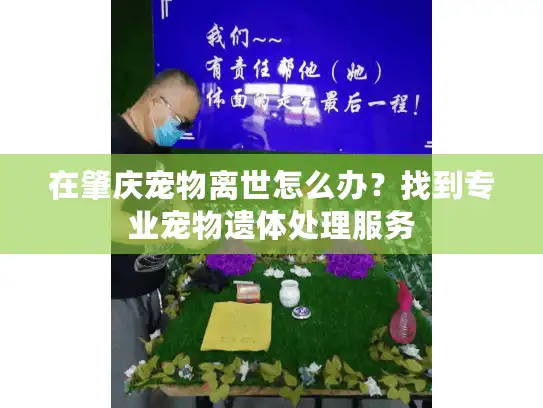 在肇庆宠物离世怎么办？找到专业宠物遗体处理服务