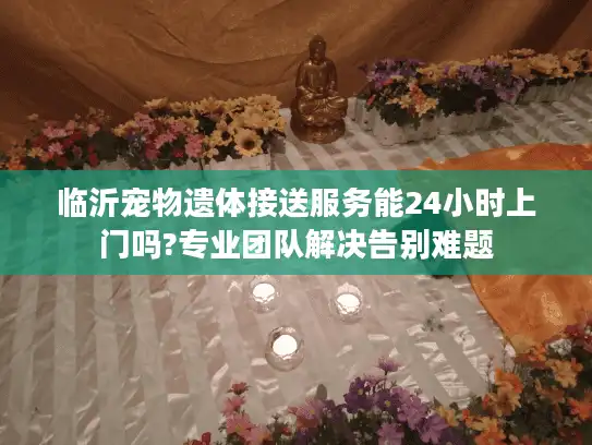 临沂宠物遗体接送服务能24小时上门吗?专业团队解决告别难题