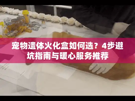 宠物遗体火化盒如何选？4步避坑指南与暖心服务推荐
