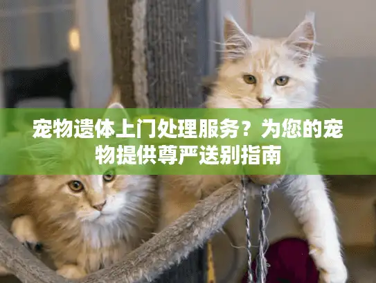 宠物遗体上门处理服务？为您的宠物提供尊严送别指南