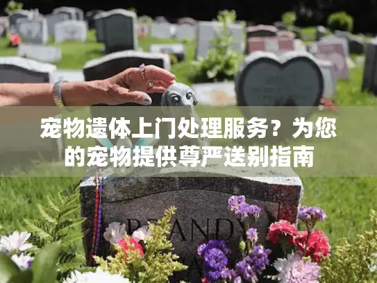 宠物遗体上门处理服务？为您的宠物提供尊严送别指南