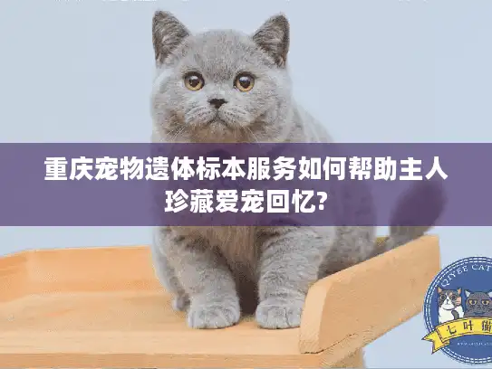 重庆宠物遗体标本服务如何帮助主人珍藏爱宠回忆?