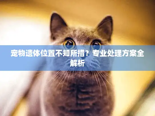 宠物遗体位置不知所措？专业处理方案全解析
