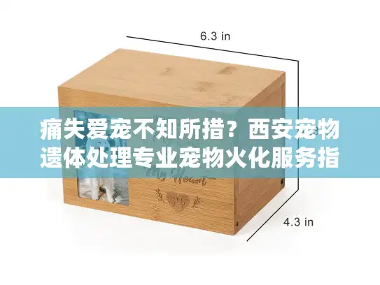 痛失爱宠不知所措？西安宠物遗体处理专业宠物火化服务指南