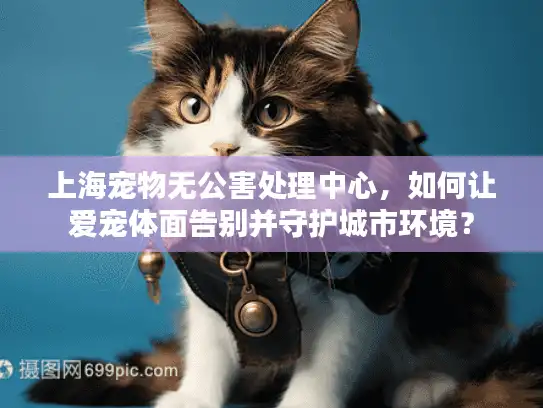 上海宠物无公害处理中心，如何让爱宠体面告别并守护城市环境？