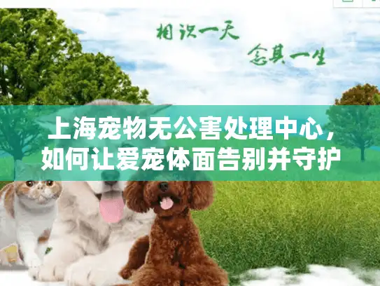 上海宠物无公害处理中心，如何让爱宠体面告别并守护城市环境？