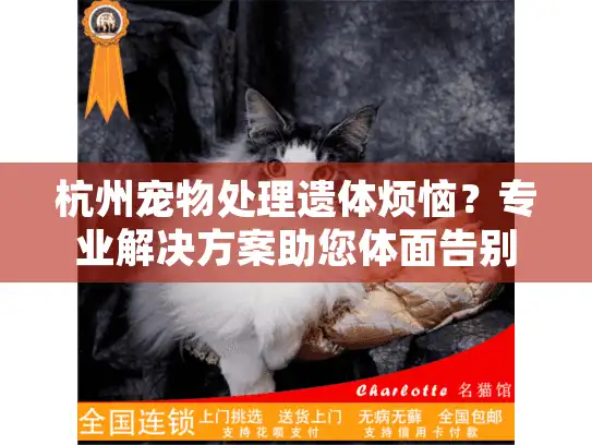 杭州宠物处理遗体烦恼？专业解决方案助您体面告别宠物